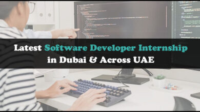 Software Developer Internship