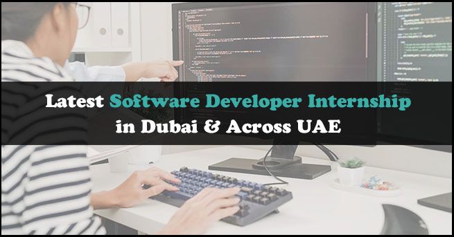 Software Developer Internship